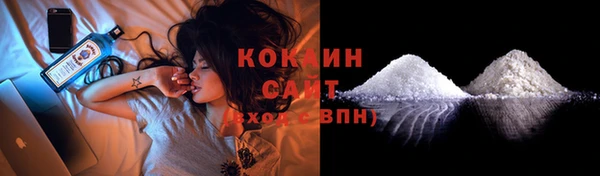 шишки Беломорск