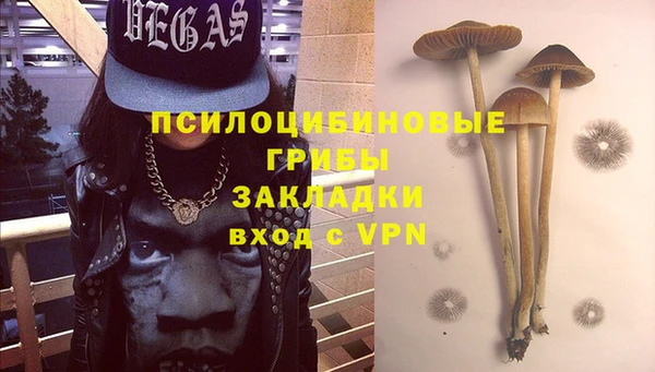 шишки Беломорск