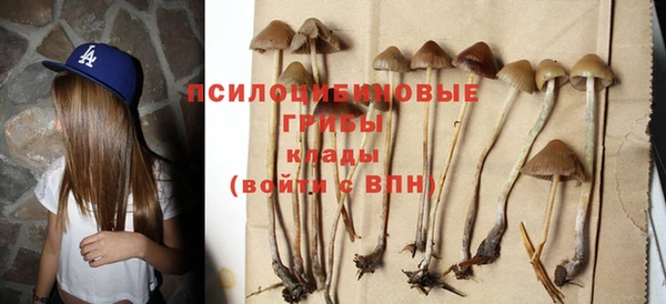 COCAINE Няндома