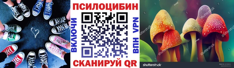 mega зеркало цены Кемь Галлюциногенные грибы Psilocybe